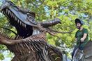 Česká republika - KOVOZOO + archeoskanzen   