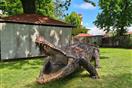 Česká republika - KOVOZOO + archeoskanzen   
